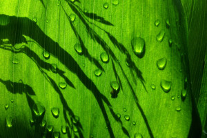 谁能制裁早田希娜看完这比赛,我只能说,祝他们好运!