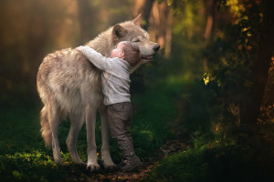 一鸣惊人！大马电竞代表队在S赛上展现惊人实力，粉丝沸腾！